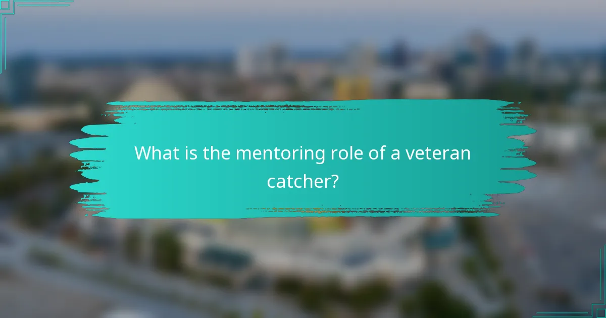 What is the mentoring role of a veteran catcher?
